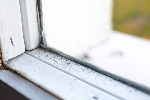 Best Airborne Mold Testing  in Lakeshire, MO