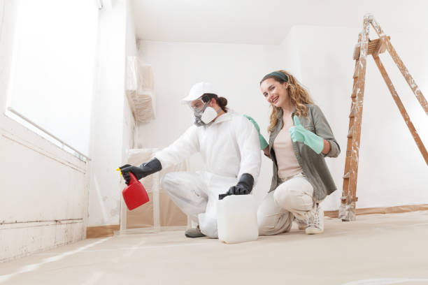 Biohazard Mold Removal in Lakeshire, MO