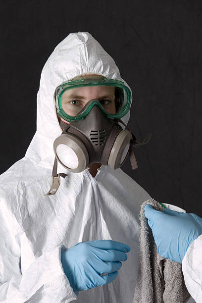 Best Mold Odor Removal Services  in Lakeshire, MO